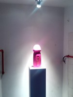 pink phallus